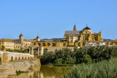 Los 3 mejores expertos en software web empresarial personalizado en Córdoba