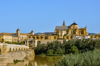 Mejores 15 empresas para aplicaciones web personalizadas en Córdoba