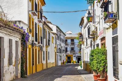 Top 20 empresas para la externalización de servicios de programación en Córdoba