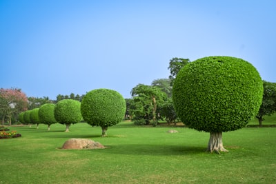 Cómo se benefician las empresas de jardinería del software personalizado para la gestión en 2024