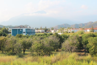 Empresa de inteligencia artificial en Chiclana de la Frontera