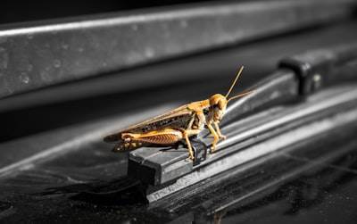 Cómo un error de invalidación de caché casi derriba nuestro sistema - Y qué cambiamos después