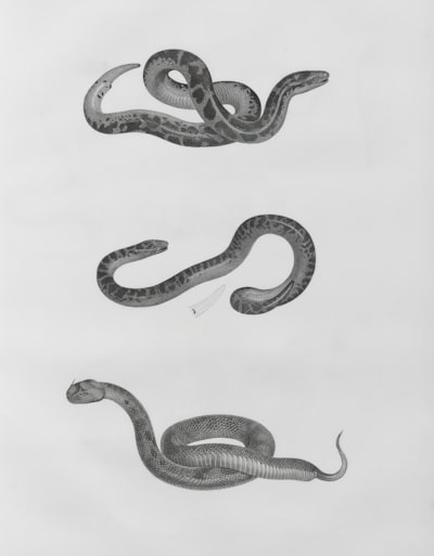  Uvicorn en APIs modernas de Python