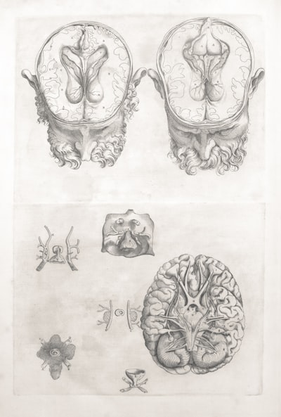  Simbolización en IA Neuro-Simbólica: Una Introducción Suave a Atajos de Razonamiento