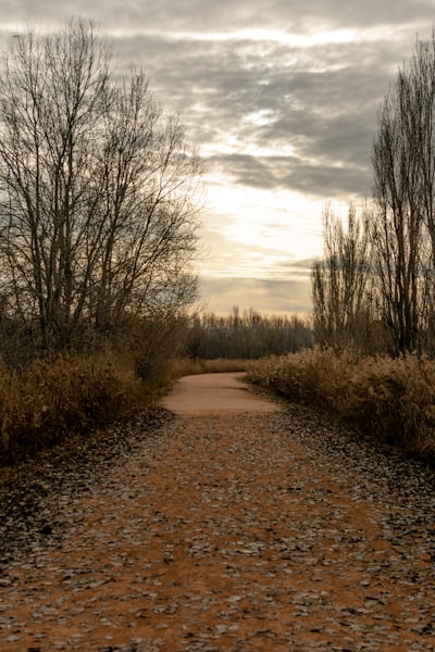 Top 10 Empresas de software para negocios en Lérida