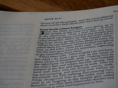 Cómo usar la API Codex GPT-5.2