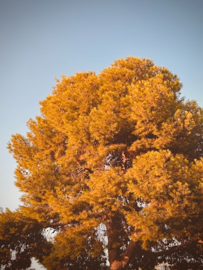  Mejores 30 empresas para sistema telefónico de inteligencia artificial en Paterna