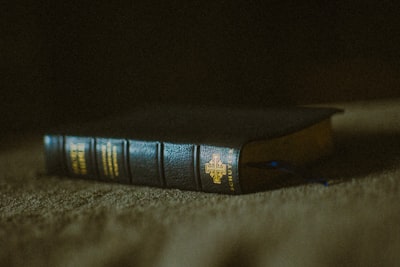 La verdadera guía para la omnisciencia y por qué todos te mienten sobre el conocimiento