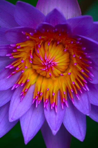 El Pensamiento Híbrido