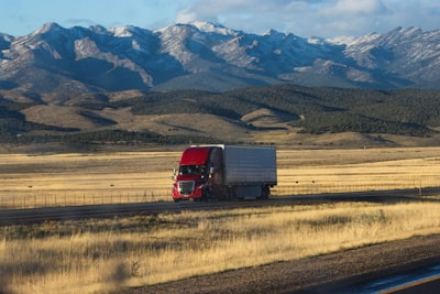 Por qué el jefe de la empresa de camiones Daimler en América del Norte cree que la información y la tecnología pueden ayudar a solucionar los problemas de cadena de suministro