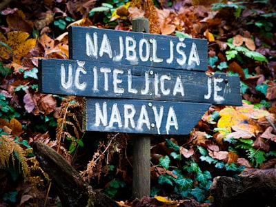 La Guía Definitiva para Encontrar n8n en Collado Villalba