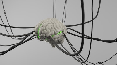 Circuitos Probabilísticos Neuronales Causales