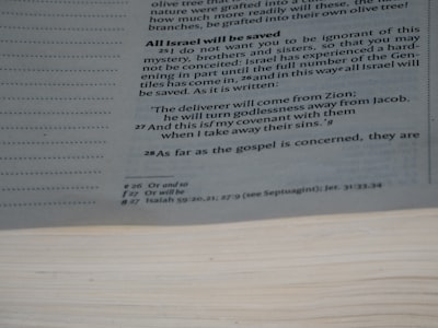 ¿Cómo puedo probar o demostrar la comprensión de documentos de IA antes de comprar?