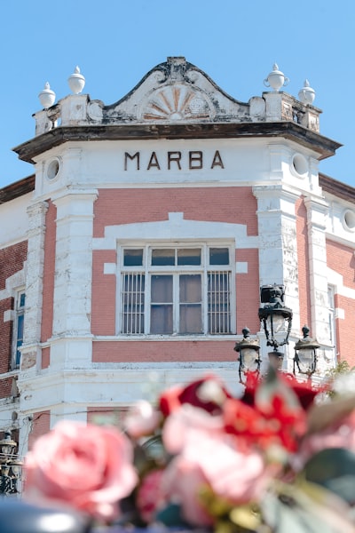 Los 15 mejores expertos en AGENCIA de IA en Marín