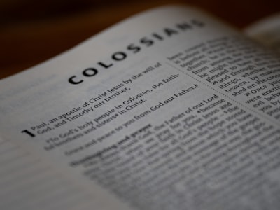 Primeros días con Codex CLI