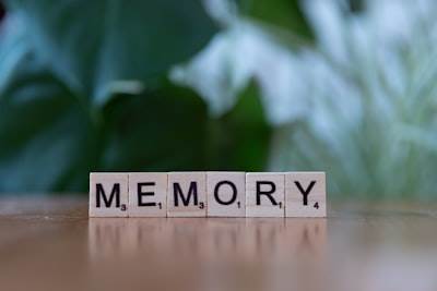 Cómo diseñar un sistema de memoria persistente y de inteligencia artificial agentica personalizada con decaimiento y autoevaluación?
