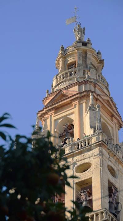 Top 10 Expertos en servicios de automatización de procesos en Córdoba