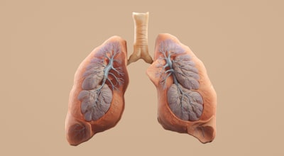  AReT: Volumetría de nódulos pulmonares con solo 3 proyecciones