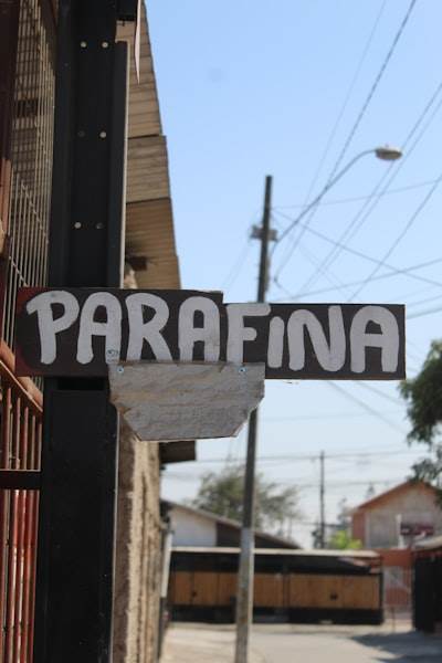 La guía definitiva para encontrar bots de redes sociales en Paterna