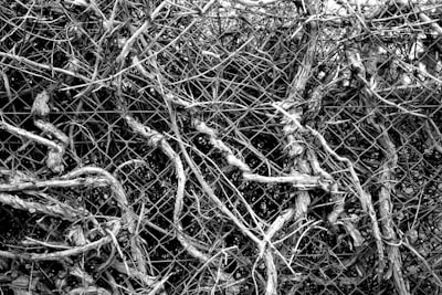 La RevOps liderada por plataformas está fragmentada, la Orquestación de IA soluciona el problema principal