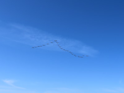 ¿Pueden los servicios de migración a la nube de Azure para empresas integrarse con sistemas existentes?