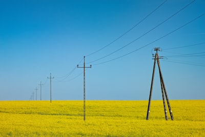 Servicios de diseño de aplicaciones móviles en el sector energético en España: Datos reales de costos de proyectos