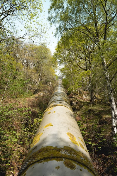 Canal de análisis