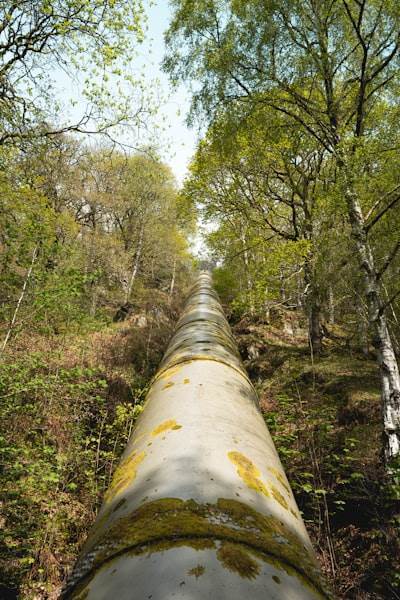 AI Native Data Pipeline - ¿Qué necesitamos?