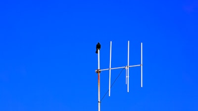 Aprendizaje federado liberado: equilibrando sesgo y varianza en la IA inalámbrica por Arvind Sundararajan