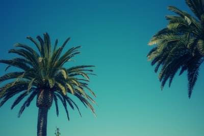 Mejores 100 empresas para el desarrollo de aplicaciones móviles en Santa Cruz de Tenerife