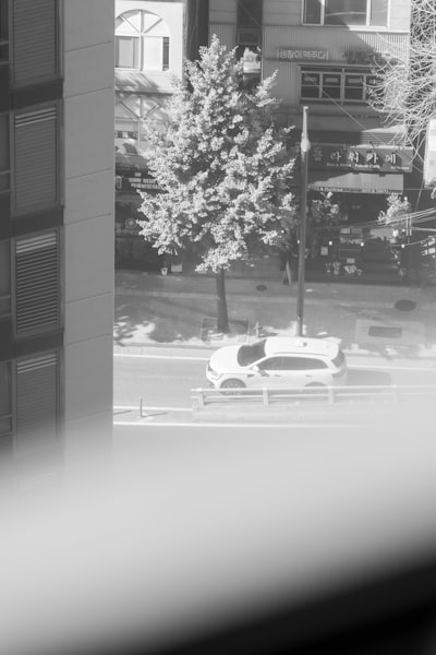 Empresa de servicios de software de gestión de agentes inmobiliarios en Palma