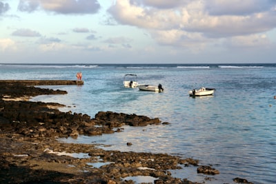 Top 5 Expertos en n8n en Arrecife