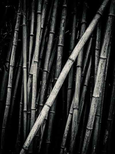 Penyaire - Bambú | Un show de COLORS