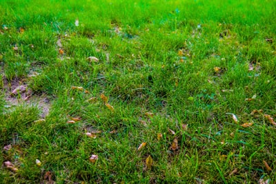 ¿Qué ventajas ofrece el desarrollo de ERP personalizado para la implementación de fabricación a un negocio?