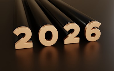 Por qué los gobiernos invierten en soluciones de gestión a medida para empresas: Guía 2024