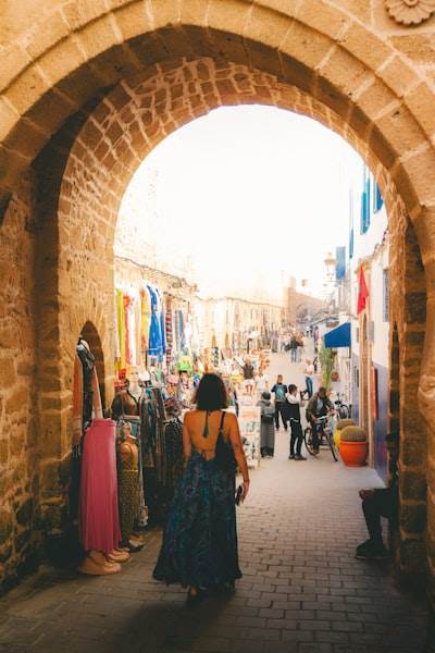 Los bordes antropogénicos por delante: la startup de IA está a punto de obtener ganancias más rápido que OpenAI