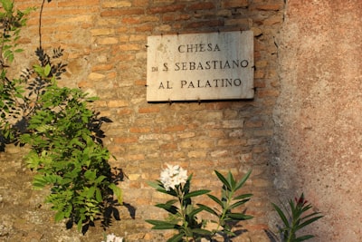 Los 30 mejores expertos en la AGENCIA de inteligencia artificial en Paterna