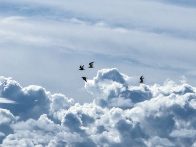 ¿Cómo crean los servicios de migración a la nube valor a largo plazo para una empresa?