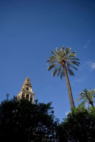  Top 30 Compañías para servicios de consultoría Azure en Córdoba