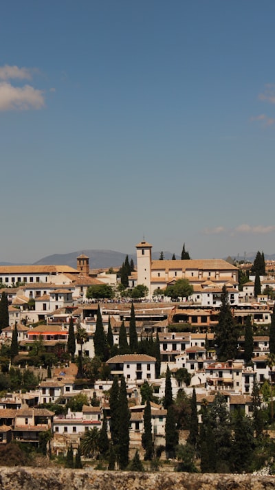  Top 20 expertos en servicios de desarrollo asistido por IA en Granada