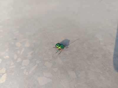 El error que la IA no puede encontrar no está en el código